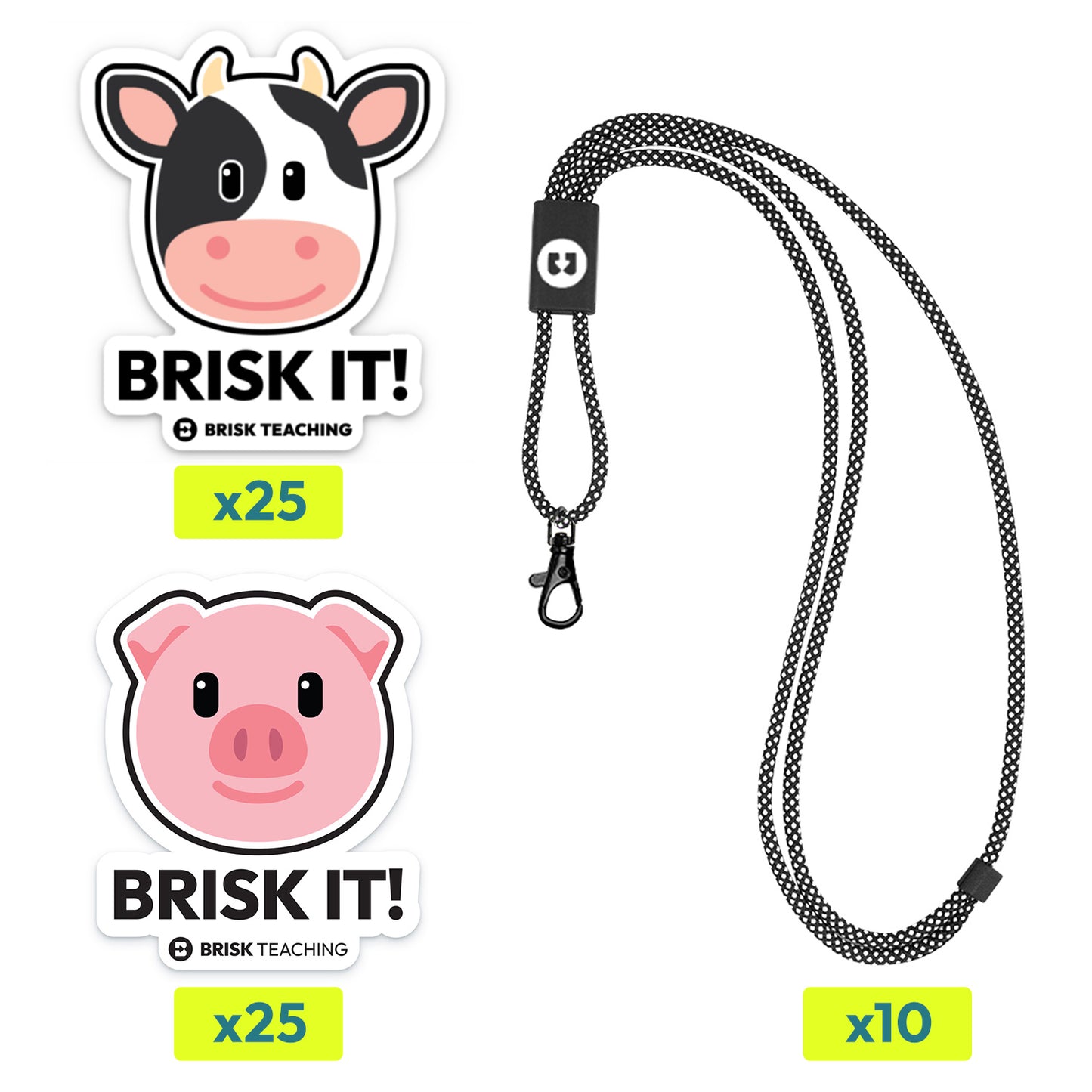 Lanyard & Stickers Kit